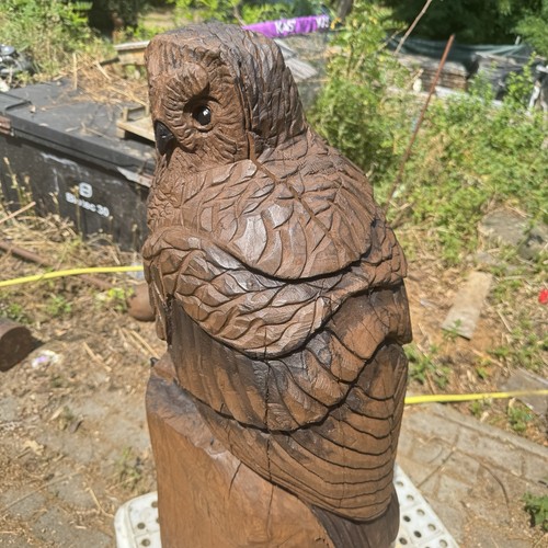 Eule holzskulptur - eule,