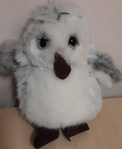 Eule schneeeule plüschtier - ,