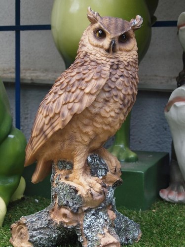 Eule deko figur kauz - eule, waldkauz