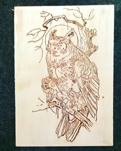Brandmalbild eule a4 - brandmalbild,